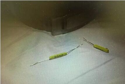 青海湟魚身上配戴RFID芯片實現洄游追蹤研究 青海湟魚身上配戴RFID芯片實現洄游追蹤研究